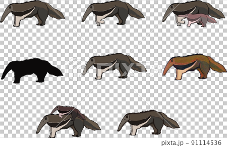 巨型食蟻獸套裝 巨型食蟻獸套裝 91114536