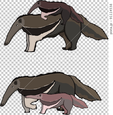 Giant anteater family 91114538