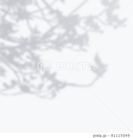 Realistic transparent overlay blurred shadow  91115049