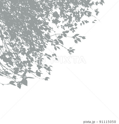 Shadow from vegetation on the wall  91115050