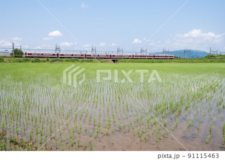 【近鉄名古屋線】田園地帯を走る急行列車 【近鉄名古屋線】田園地帯を走る急行列車 91115463