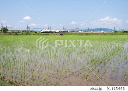 【近鉄名古屋線】田園地帯を走る特急列車 【近鉄名古屋線】田園地帯を走る特急列車 91115466