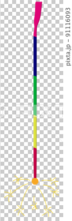 線香花火 91116093