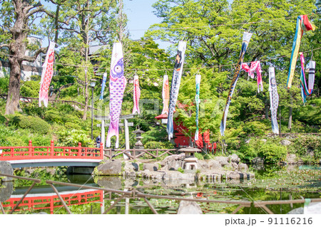 須藤公園のこいのぼり／東京都文京区 91116216