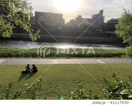 鴨川で日向ぼっこ 鴨川で日向ぼっこ 91117030