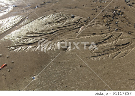 波の引いた海岸の砂浜 91117857