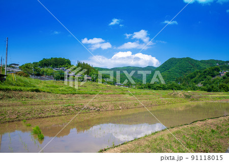 寺坂棚田 田植え季節 新緑の風景 寺坂棚田 田植え季節 新緑の風景 91118015