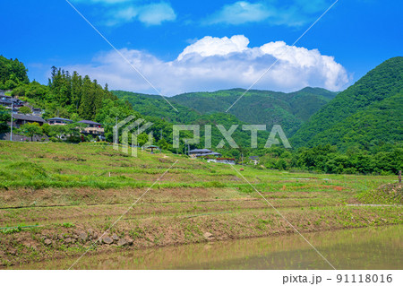 寺坂棚田　田植えの季節　新緑の風景　 91118016
