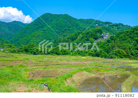寺坂棚田　田植え季節　新緑の風景　 91118082