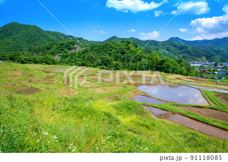寺坂棚田　田植え季節　新緑の風景　 91118085