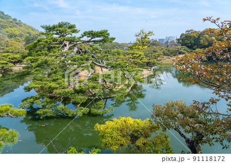香川県高松市 栗林公園内の手入れされた見事な松と池 香川県高松市 栗林公園内の手入れされた見事な松と池 91118172