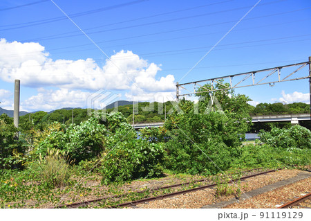2021年夏。赤穂線の西大寺駅から播州赤穂間の車窓からの風景 91119129