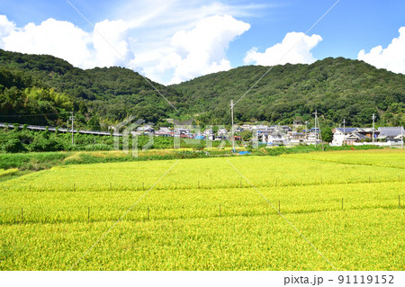 2021年夏。赤穂線の西大寺駅から播州赤穂間の車窓からの風景 91119152