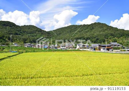 2021年夏。赤穂線の西大寺駅から播州赤穂間の車窓からの風景 2021年夏。赤穂線の西大寺駅から播州赤穂間の車窓からの風景 91119153