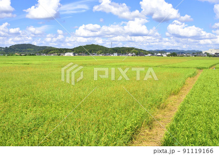 2021年夏。赤穂線の西大寺駅から播州赤穂間の車窓からの風景 2021年夏。赤穂線の西大寺駅から播州赤穂間の車窓からの風景 91119166