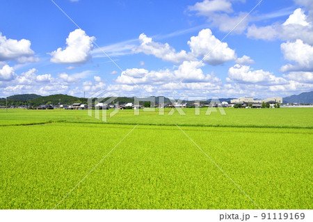2021年夏。赤穂線の西大寺駅から播州赤穂間の車窓からの風景 2021年夏。赤穂線の西大寺駅から播州赤穂間の車窓からの風景 91119169