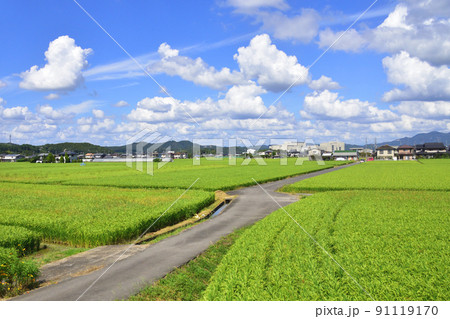 2021年夏。赤穂線の西大寺駅から播州赤穂間の車窓からの風景 2021年夏。赤穂線の西大寺駅から播州赤穂間の車窓からの風景 91119170