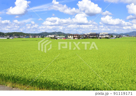 2021年夏。赤穂線の西大寺駅から播州赤穂間の車窓からの風景 91119171