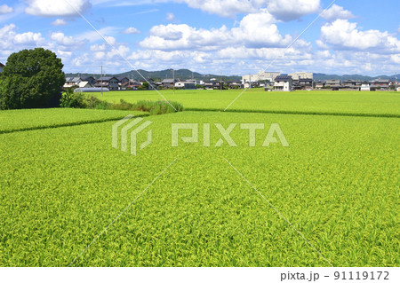 2021年夏。赤穂線の西大寺駅から播州赤穂間の車窓からの風景 91119172