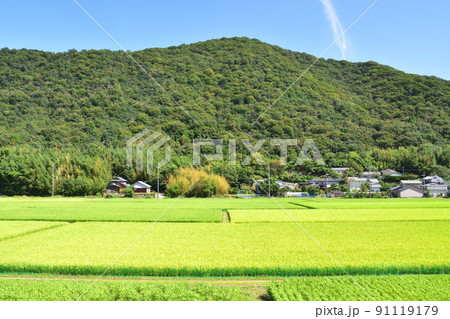 2021年夏。赤穂線の西大寺駅から播州赤穂間の車窓からの風景 2021年夏。赤穂線の西大寺駅から播州赤穂間の車窓からの風景 91119179