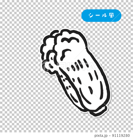 無色蔬菜大白菜貼紙風格的插圖 無色蔬菜大白菜貼紙風格的插圖 91119280