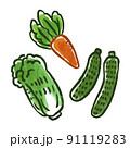 野菜イラスト　にんじん、白菜、きゅうり 91119283
