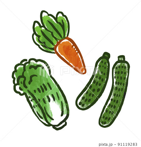 野菜イラスト にんじん、白菜、きゅうり 野菜イラスト にんじん、白菜、きゅうり 91119283