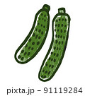 野菜イラストきゅうり 91119284