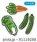野菜イラスト　にんじん　きゅうり　白菜　シール風 91119288