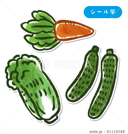 野菜イラスト　にんじん　きゅうり　白菜　シール風 91119288
