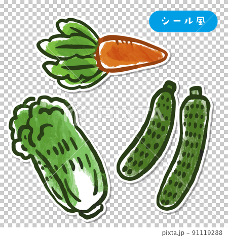 Vegetable illustration carrot cucumber Chinese cabbage sticker style 91119288