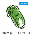 野菜イラスト　白菜　シール風 91119334
