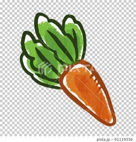 Vegetable illustration carrot 91119336