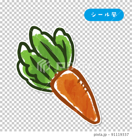 Vegetable illustration carrot sticker style 91119337