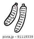 野菜イラスト　きゅうり 91119339