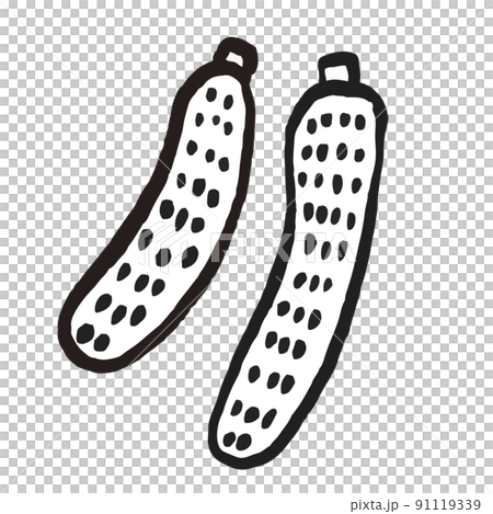 Vegetable Illustration Cucumber 91119339