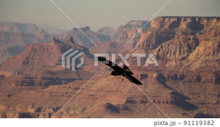 Grand Canyon National Park 91119382