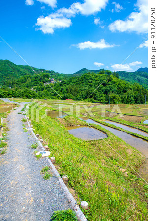 寺坂棚田　田植えの季節　新緑の風景　 91120250
