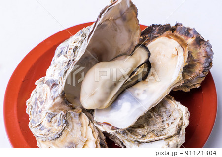 焼き牡蠣 91121304