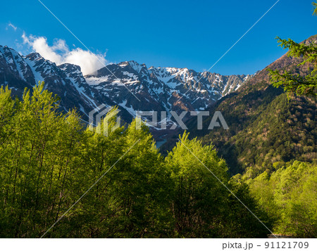上高地　夕陽に輝く残雪の穂高連峰と新緑のケショウヤナギ 91121709