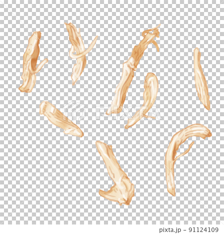 手描き水彩のプルドチキンイラストセット 91124109