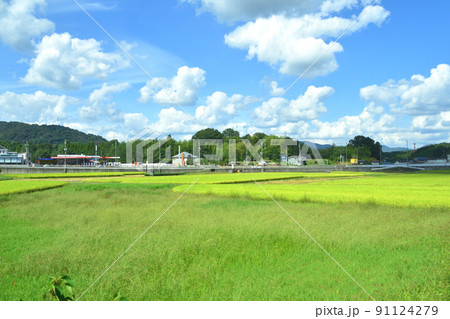 2021年。山陽本線の相生駅から姫路駅間の車窓からの風景 91124279