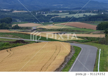 美しい道 91124352