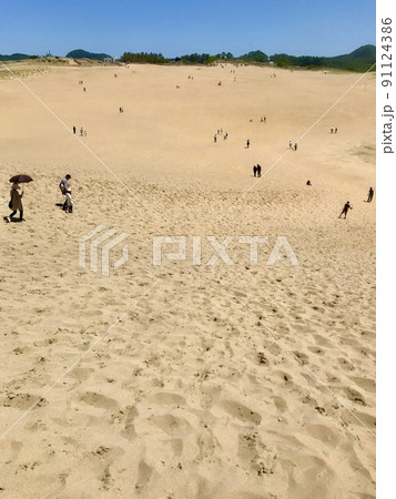 観光者と砂紋　夏の鳥取砂丘 91124386