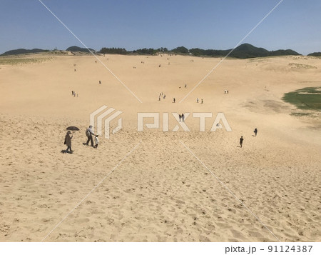 砂漠を思わせる鳥取の砂丘 91124387