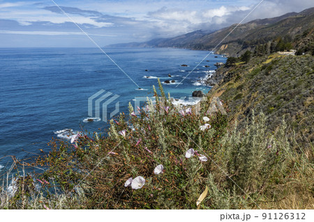 USA, California, Big Sur, Ocean waves crashing against Big Sur coast 91126312