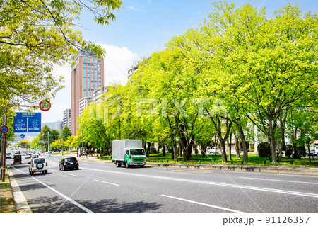 明るい快晴の平和大通りの風景です。市街地の背景イメージにどうぞ。河原町から西方面展望。広島県 明るい快晴の平和大通りの風景です。市街地の背景イメージにどうぞ。河原町から西方面展望。広島県 91126357