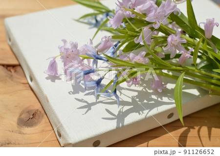 パステルカラーのシラーとチョウジソウの花束とキャンバス　　　 91126652