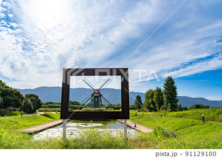 岐阜県海津市　オランダ風の風車が美しい初秋のアクアワールド水郷パークセンター 91129100