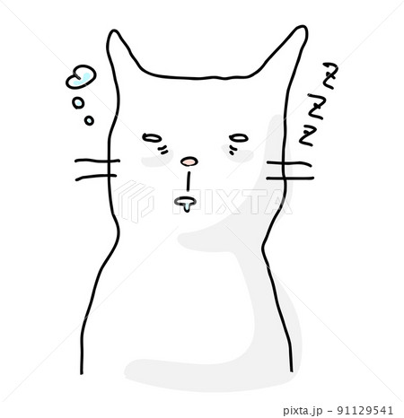 居眠りしている猫 91129541